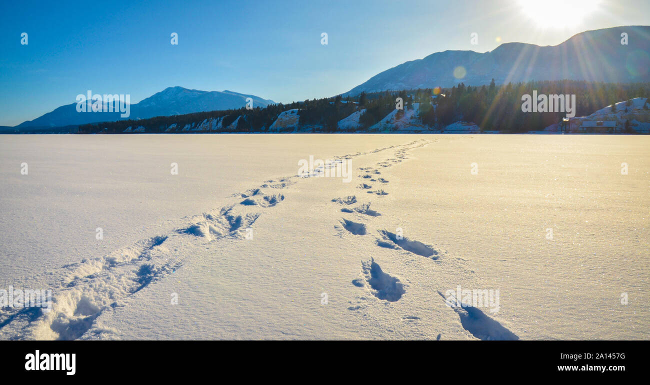 Stampe di piedi nella neve su un lago ghiacciato con sun flare e montagne coperte di neve in background. Un inverno paesaggio di montagna in British colonna Foto Stock