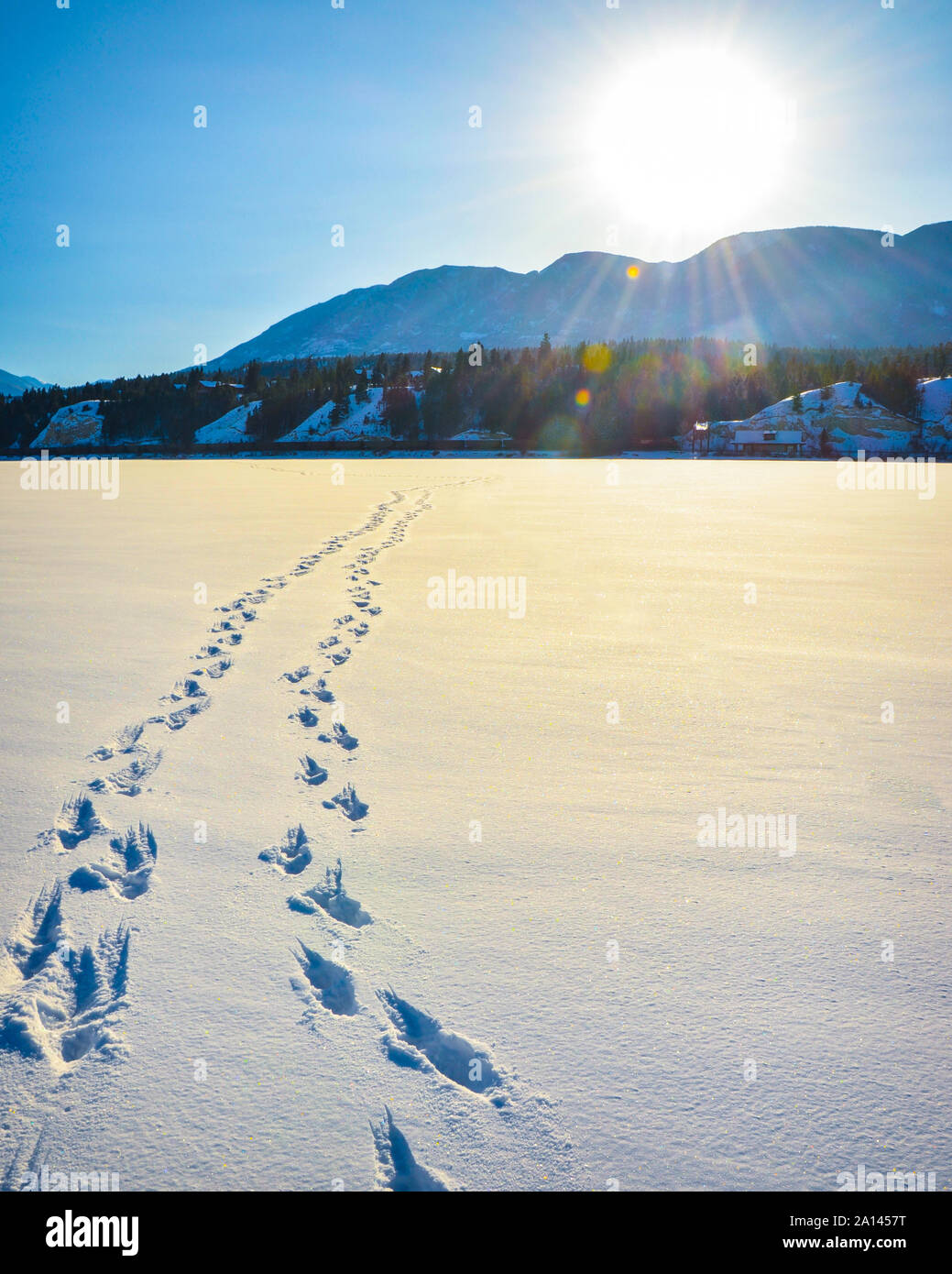 Stampe di piedi nella neve su un lago ghiacciato con sun flare e montagne coperte di neve in background. Un inverno paesaggio di montagna in British colonna Foto Stock