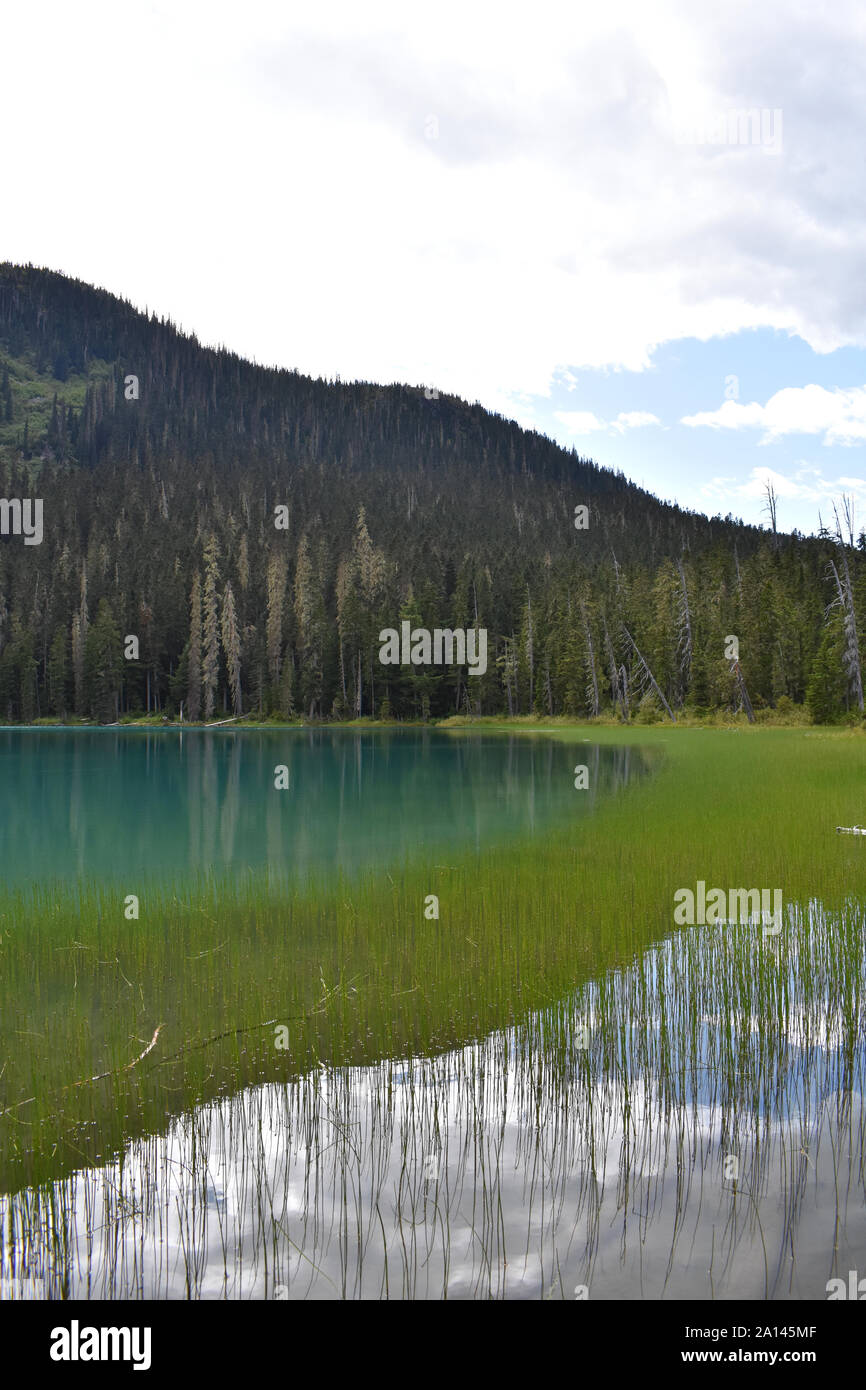 Abbassare Joffre laghi, British Columbia, Canada Foto Stock