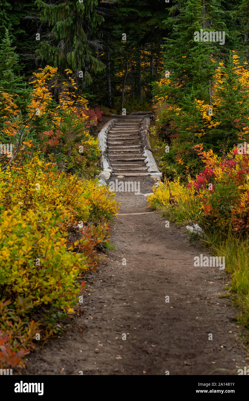 La scala sul largo sentiero sterrato attraverso il bosco in autunno Foto Stock