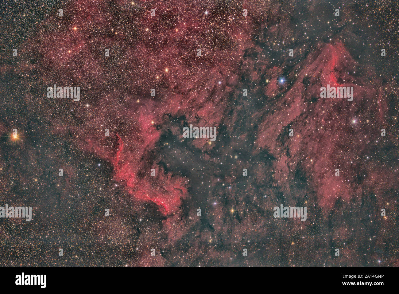 America del nord Nebula Foto Stock