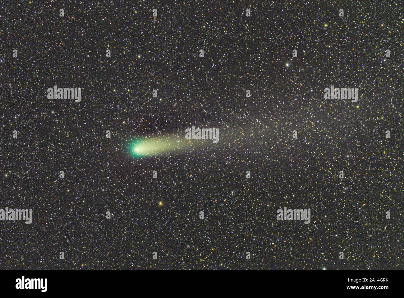 Comet Giacobini-Zinner Foto Stock