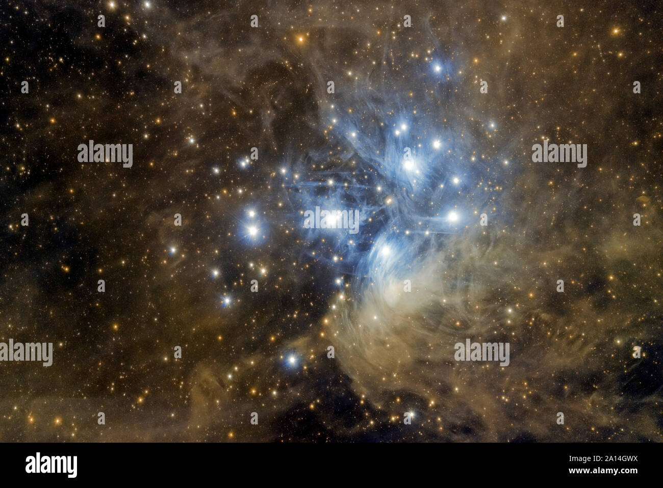 Messier 45, le Pleiadi. Foto Stock