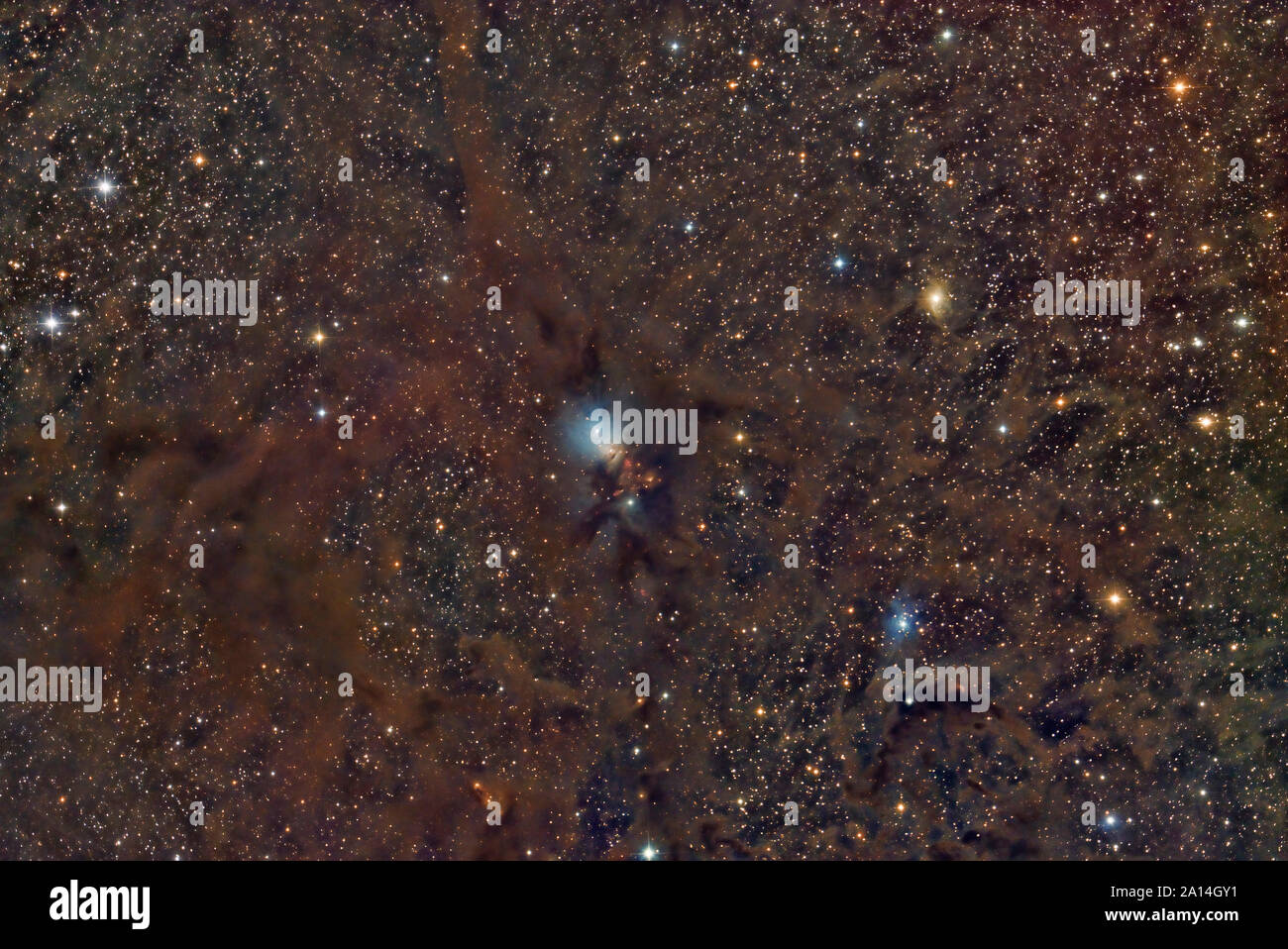 La riflessione nebulosa NGC 1333 Foto Stock