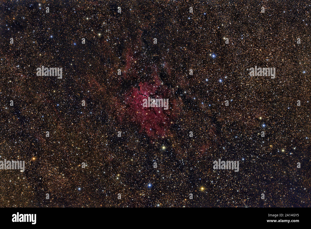 NGC 6823 cluster nella costellazione Volpetta. Foto Stock