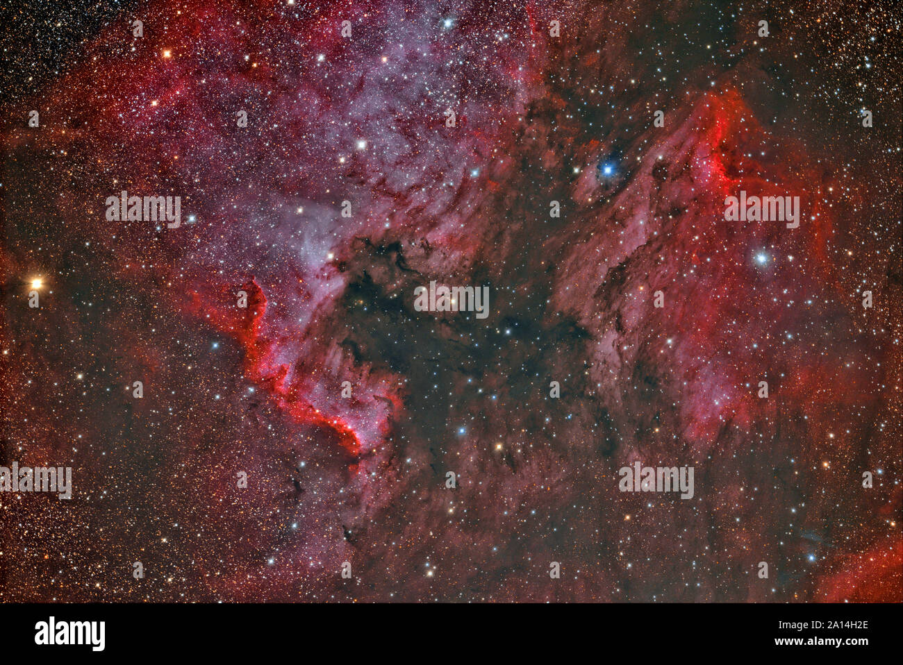 NGC 7000 America del nord Nebula e IC 5070 Pelican Nebula. Foto Stock