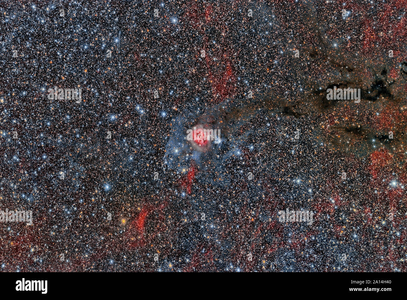 Sh2-125 Cocoon Nebula Foto Stock