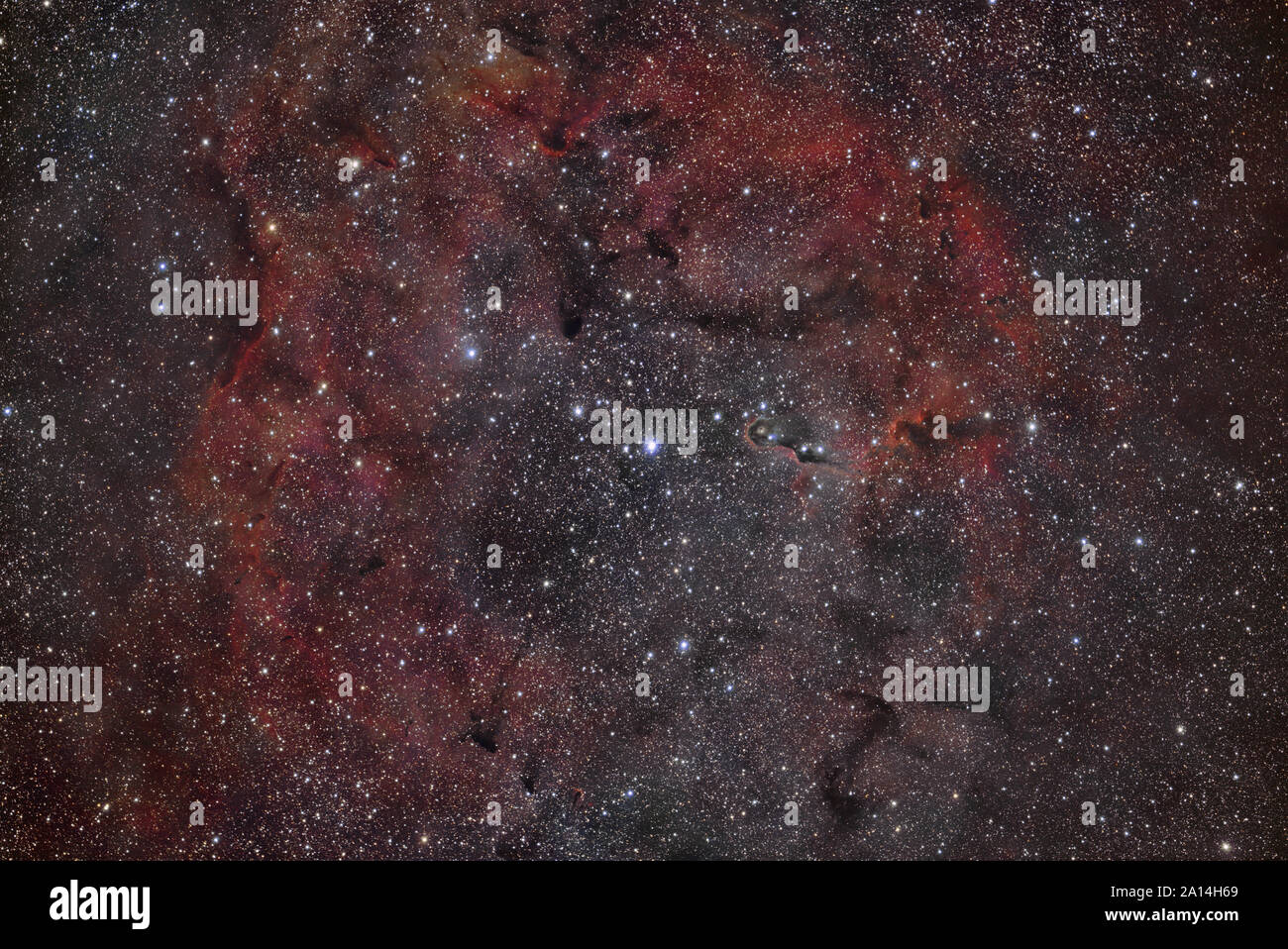 VdB 142, la Nebulosa Proboscide. Foto Stock