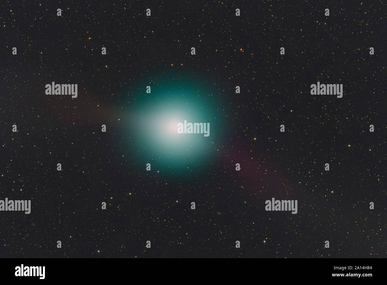 La cometa Wirtanen Foto Stock