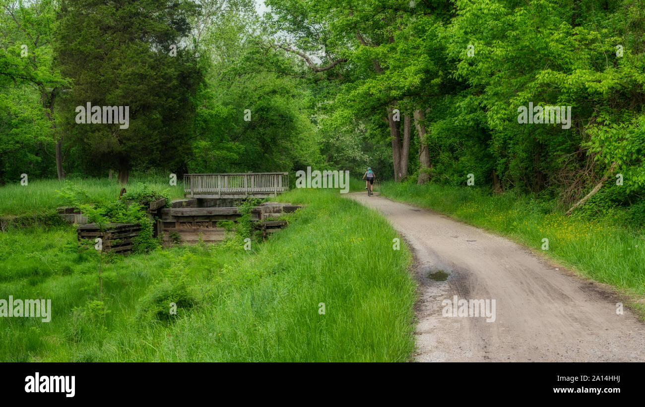 L'uomo equitazione Bicicletta sul percorso lungo la Chesapeake e Ohio Canal Foto Stock