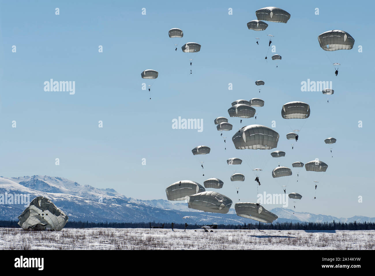 Stati Uniti Paracadutisti dell'esercito scendere sopra malamute nella zona di caduta, Alaska. Foto Stock