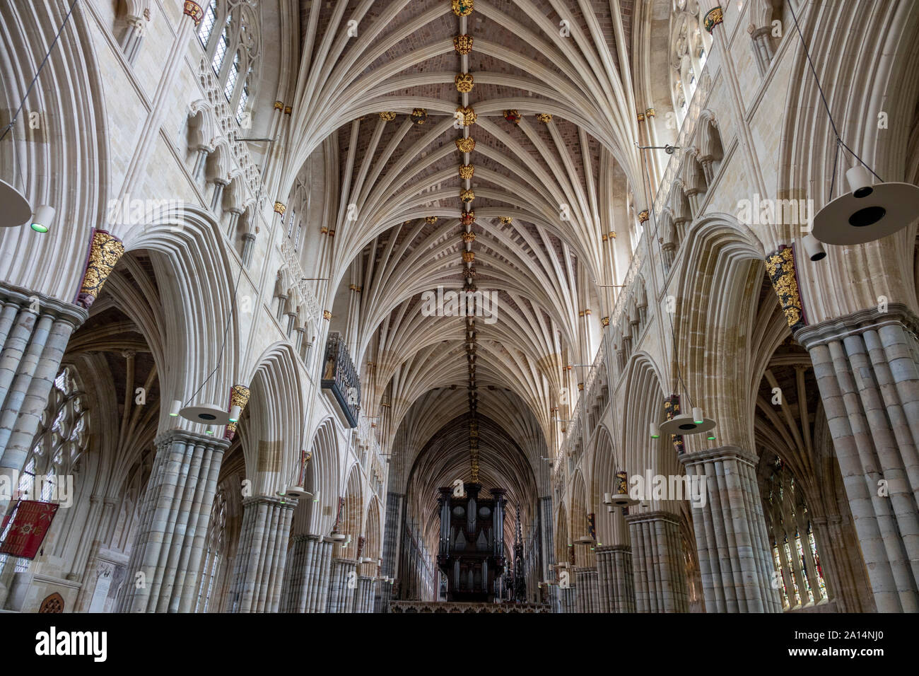 Alla ricerca della navata e con volte a crociera e organo, la Cattedrale di Exeter, Devon, Regno Unito Foto Stock