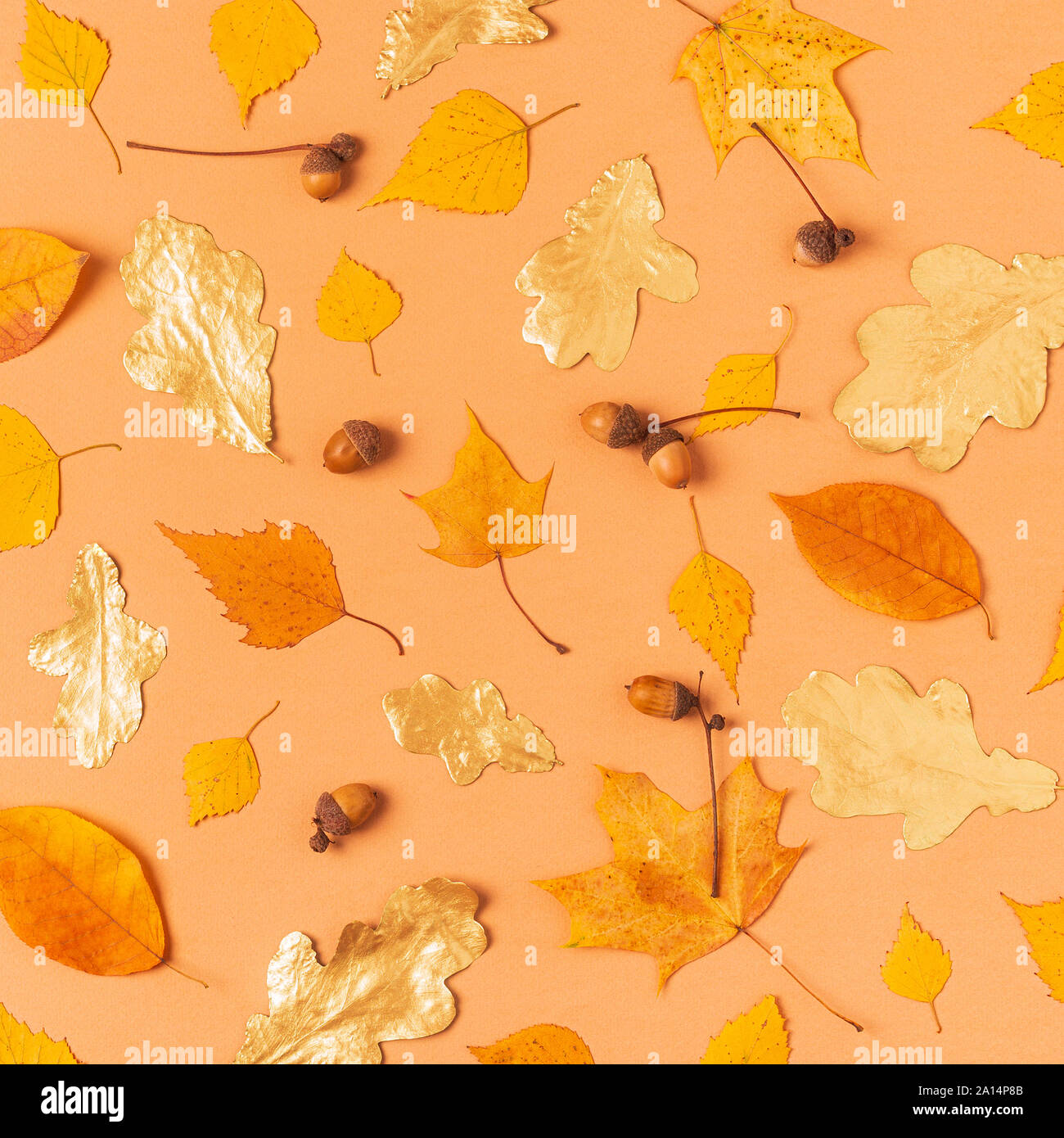 Foglie di autunno su uno sfondo color pastello. Foto Stock