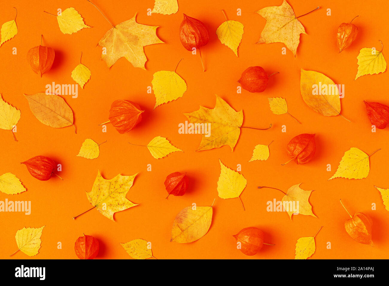 Foglie di autunno su uno sfondo arancione. Foto Stock