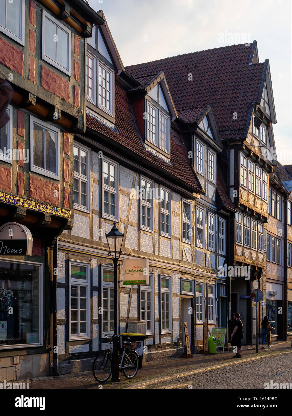 Metà case con travi di legno, Berg San, Celle, Bassa Sassonia, Germania, Europa Foto Stock