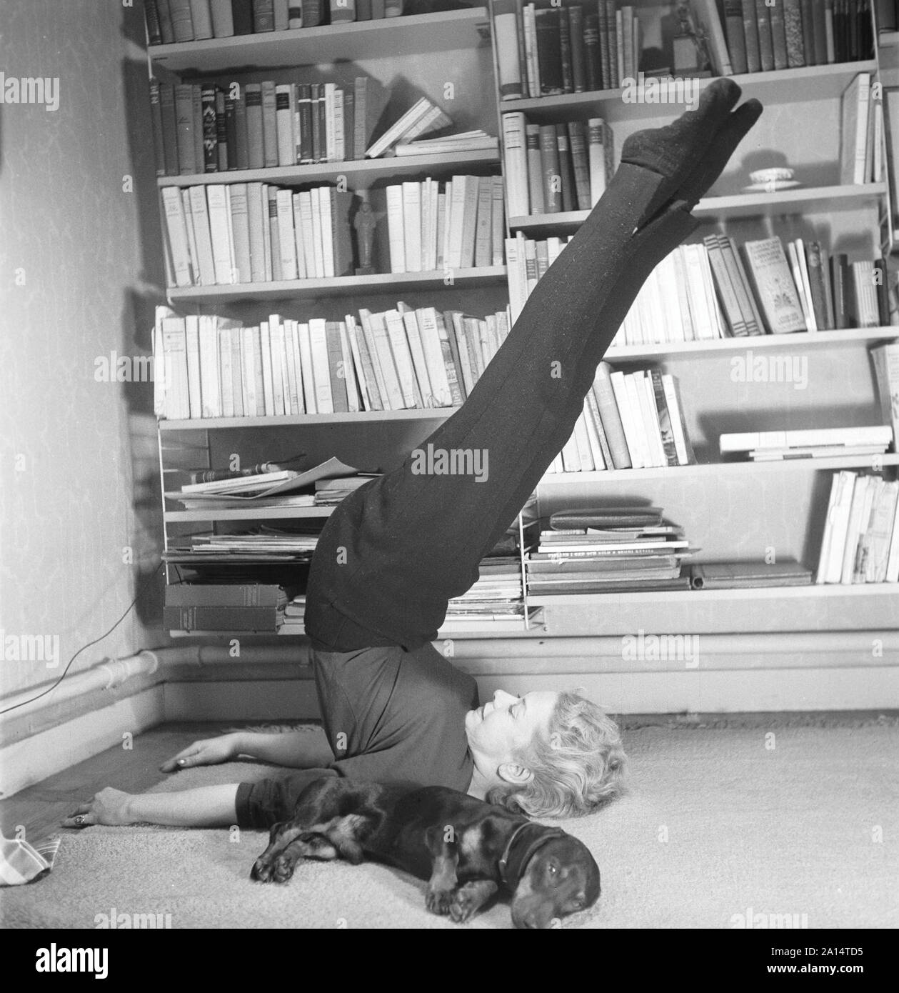 Donna degli anni cinquanta. Una donna e il suo cane sono sdraiato sul pavimento. Lei sta facendo yoga. Ella è l'attrice Sonja Wigert. La Svezia 1954. Kristoffersson ref BP8-6 Foto Stock