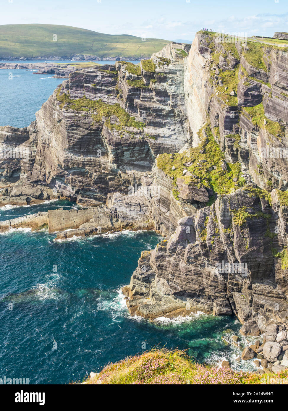 Le spettacolari scogliere di Kerry sono situati sulla costa di Skellig nella Contea di Kerry in Irlanda. Foto Stock