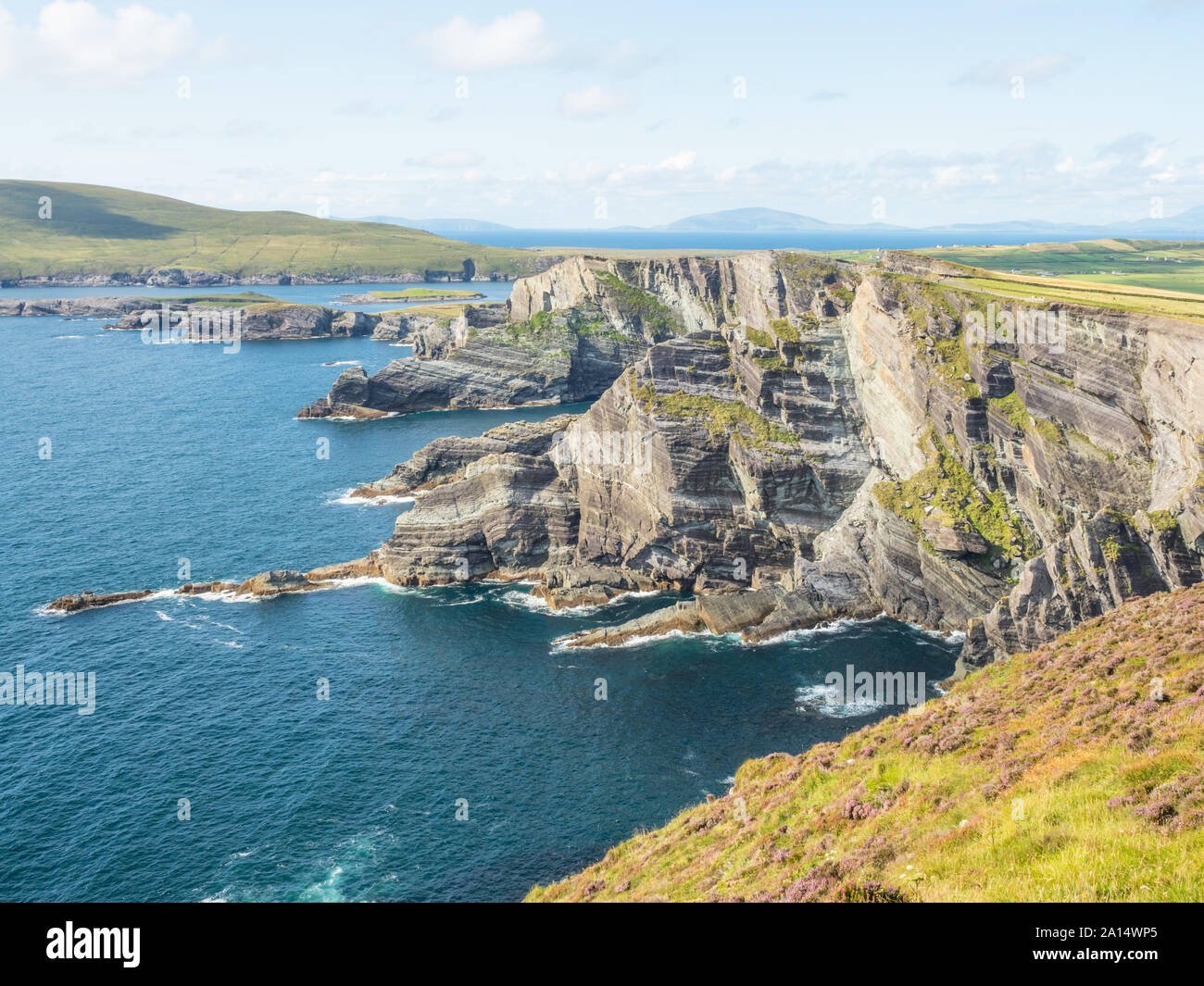 Le spettacolari scogliere di Kerry sono situati sulla costa di Skellig nella Contea di Kerry in Irlanda. Foto Stock