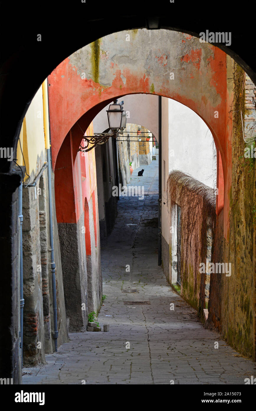 Tuscania (Italia) - Una splendida cittadina etrusca e medievale in provincia di Viterbo, Tuscia, regione Lazio. Si tratta di un'attrazione turistica per molte chiese Foto Stock