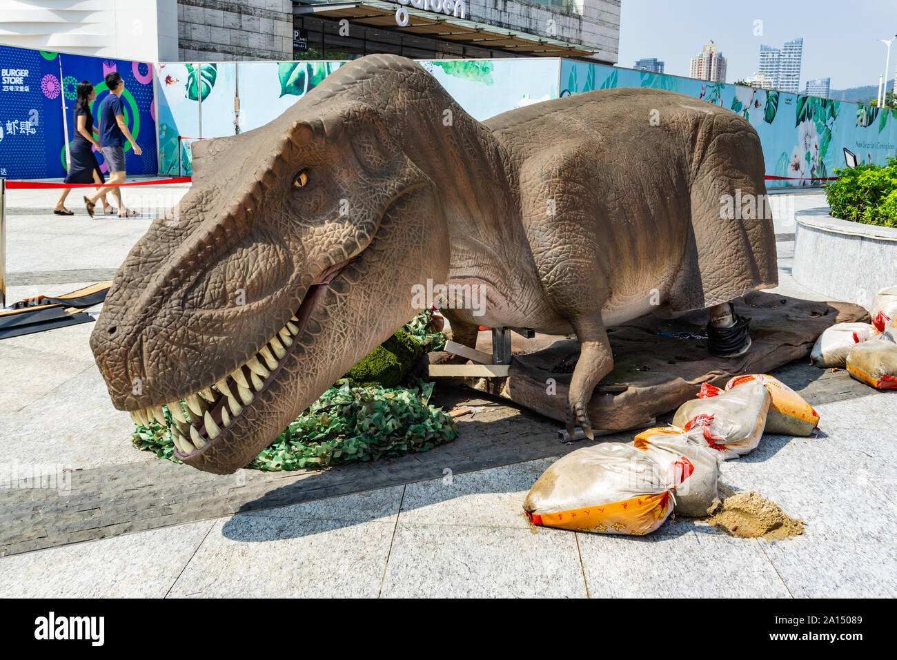 Tyrannosaurus ganascia di dinosauri e denti di Shenzhen, Cina Foto Stock