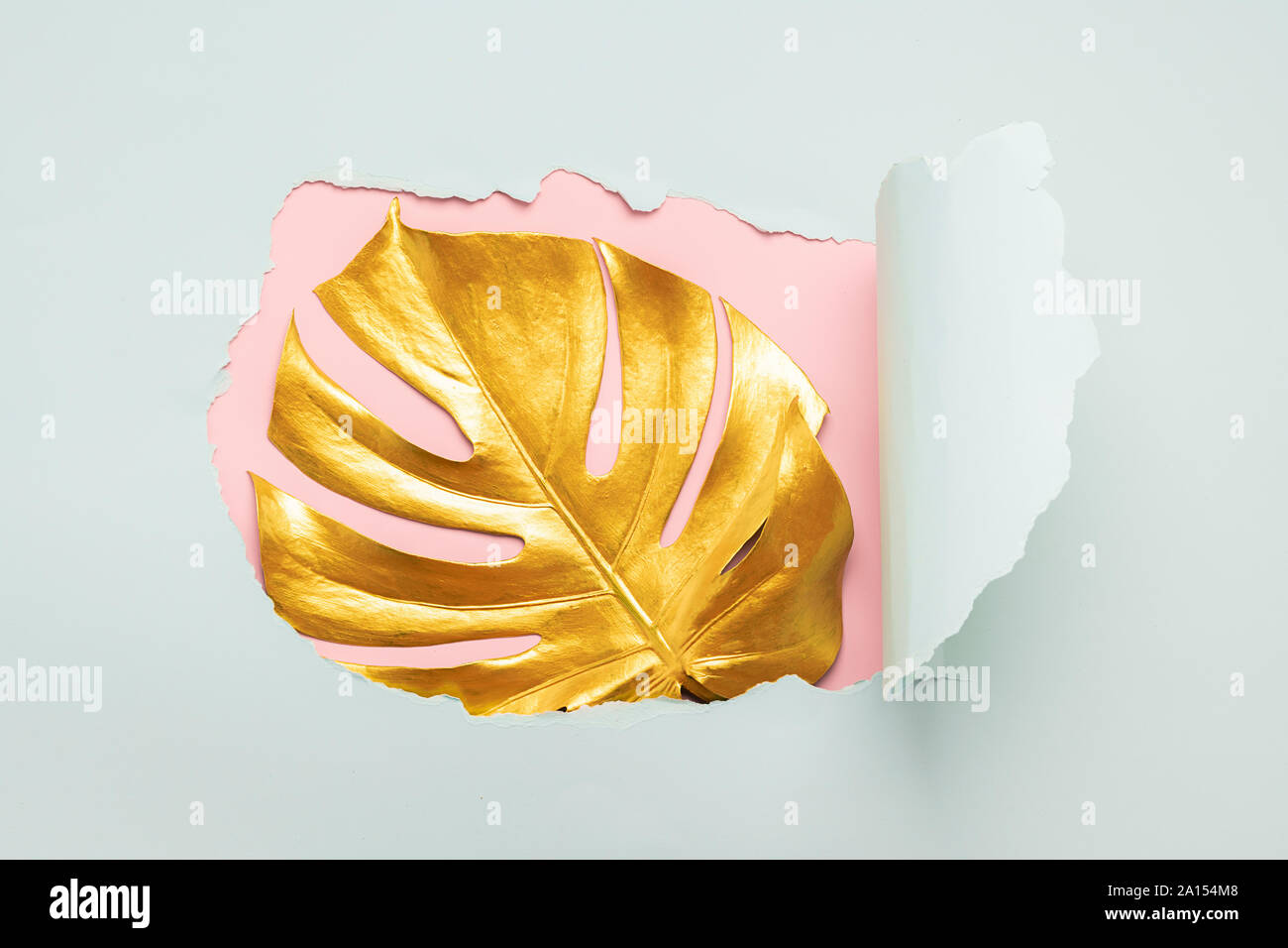 Una foglia di monstera tropicale pianta è dipinto in colore oro contro uno sfondo di una rottura della carta strappata foro. Sfondo rosa. Il concetto di arte minimali Foto Stock