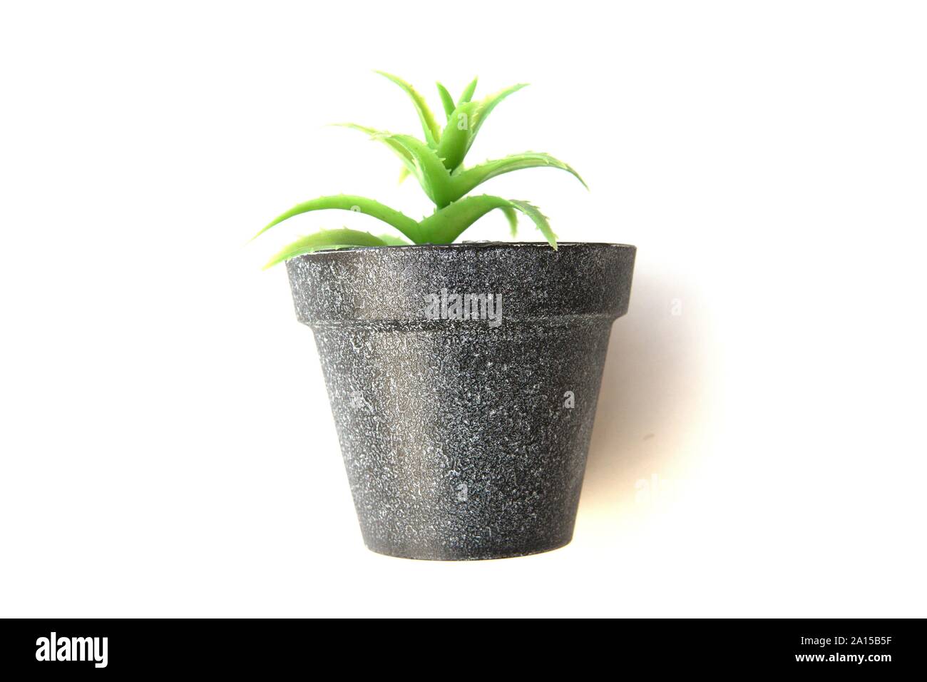 Vasi di piante di plastica e fiori per decorazioni. Contenitore in alluminio, plastica, ceramica così come argilla. Piante includono Cactus, cactus, beauti Foto Stock