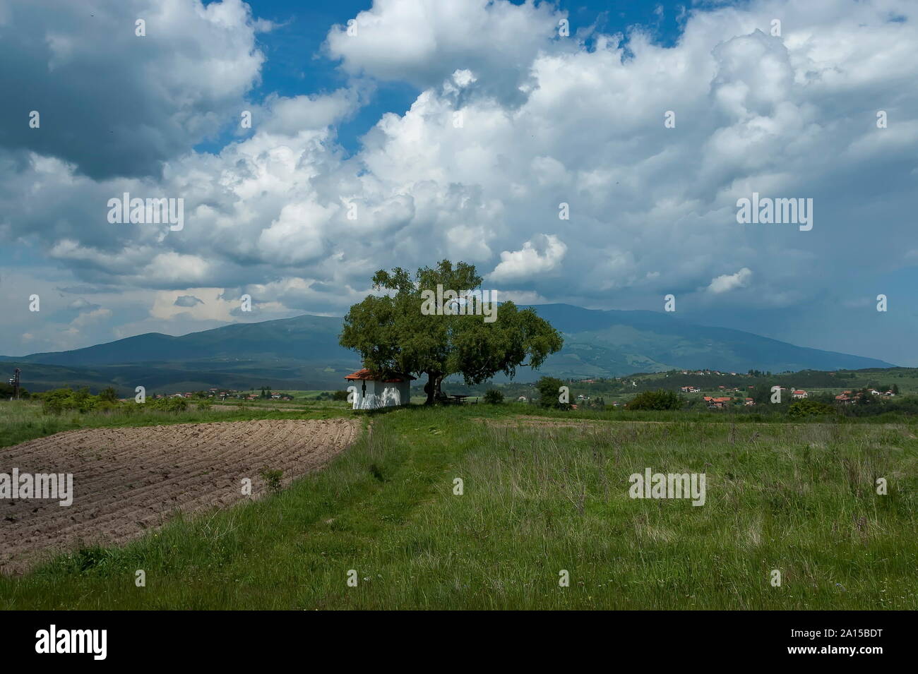Sul monte Vitosha, guardare dal plana, Bulgaria Foto Stock