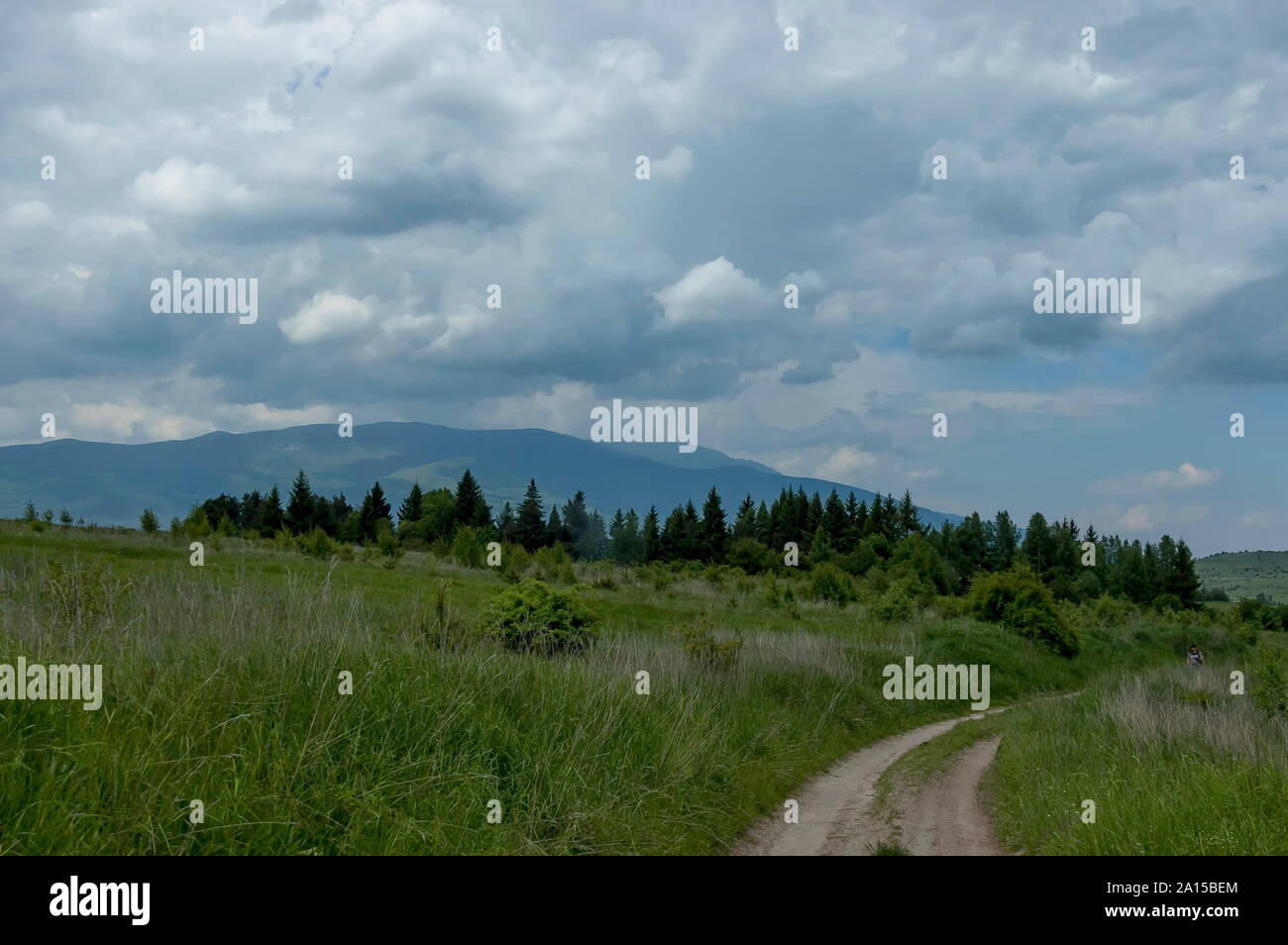 Sul monte Vitosha, guardare dal plana, Bulgaria Foto Stock