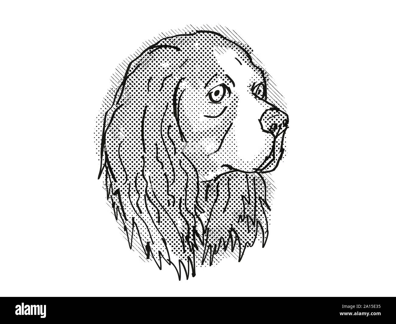 Rétro in stile cartoon disegno della testa di un Cavalier King Charles Spaniel , un cane domestico o di razza canina isolato su sfondo bianco fatto in nero un Foto Stock