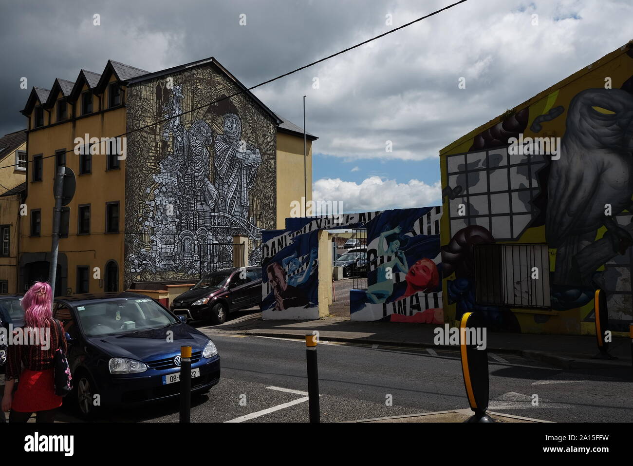 Arte Urbana di uccelli sulle pareti nella città di Waterford, Irlanda Foto Stock