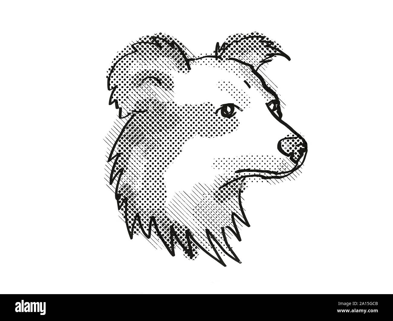 Rétro in stile cartoon disegno della testa di un Shetland Sheepdog , un cane domestico o di razza canina isolato su sfondo bianco fatto in bianco e nero. Foto Stock