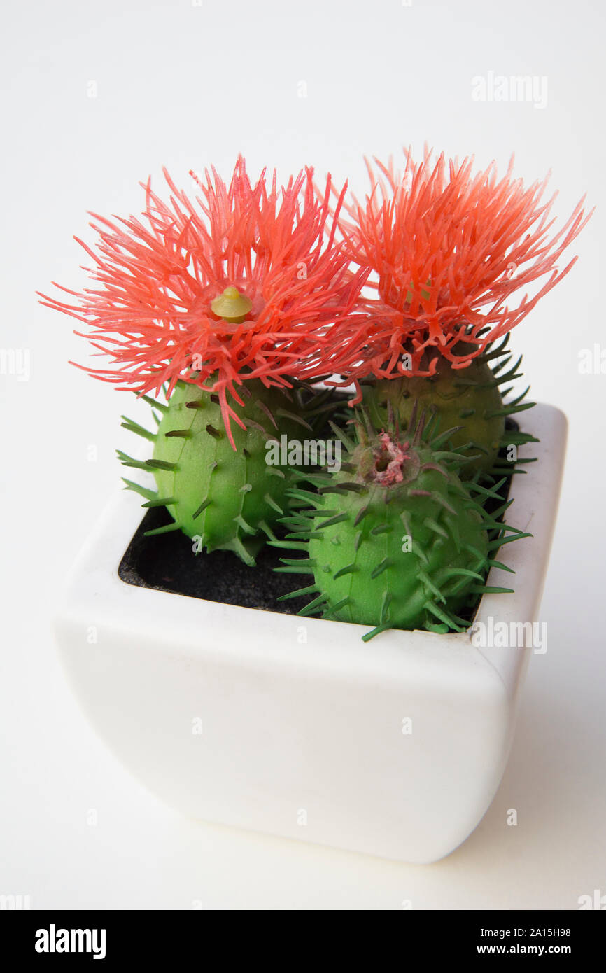 Vasi di piante di plastica e fiori per decorazioni. Contenitore in alluminio, plastica, ceramica così come argilla. Piante includono Cactus, cactus, beauti Foto Stock