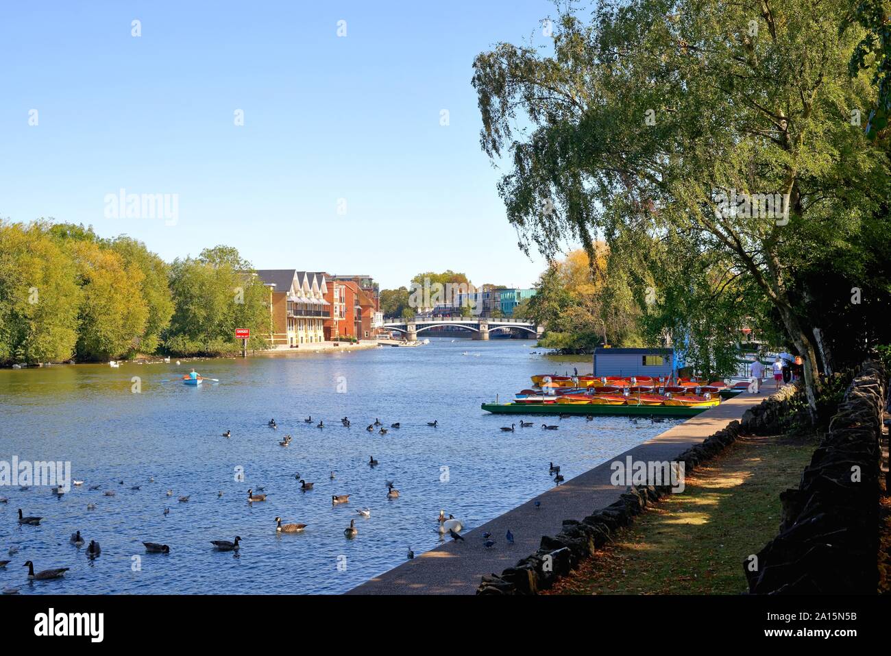 Il fiume Tamigi e di fronte al mare a Windsor, su un estati soleggiate mattina Berkshire England Regno Unito Foto Stock