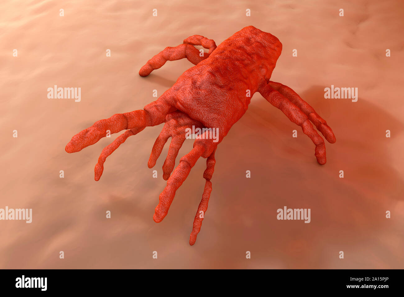 Rendering 3D visualizzazione illustrazione di acaro sulla pelle Foto Stock