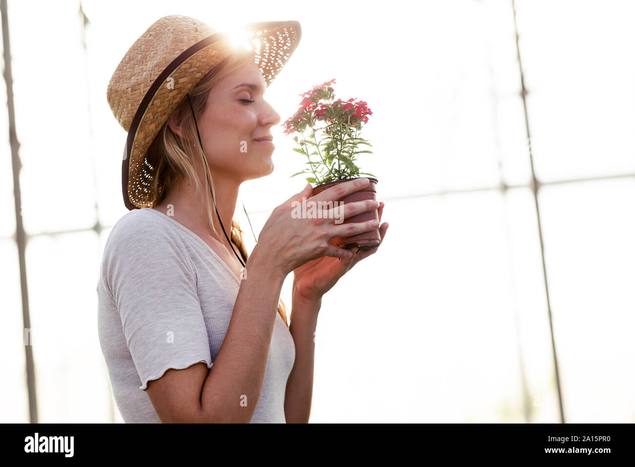 Bella giovane donna maleodoranti in fiore in serra Foto Stock