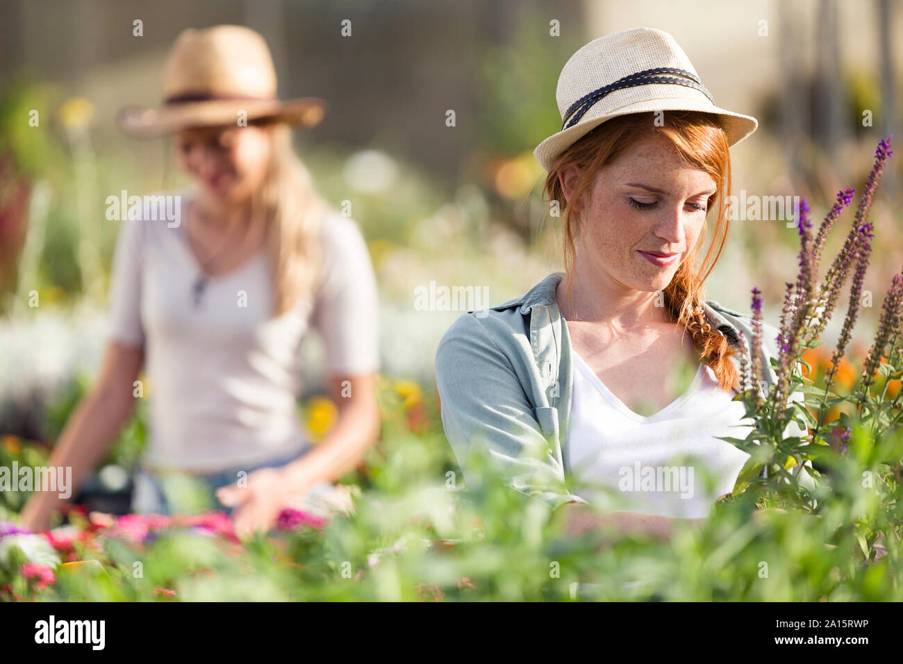 Bella giovane donna di prendersi cura di piante e fiori in serra Foto Stock