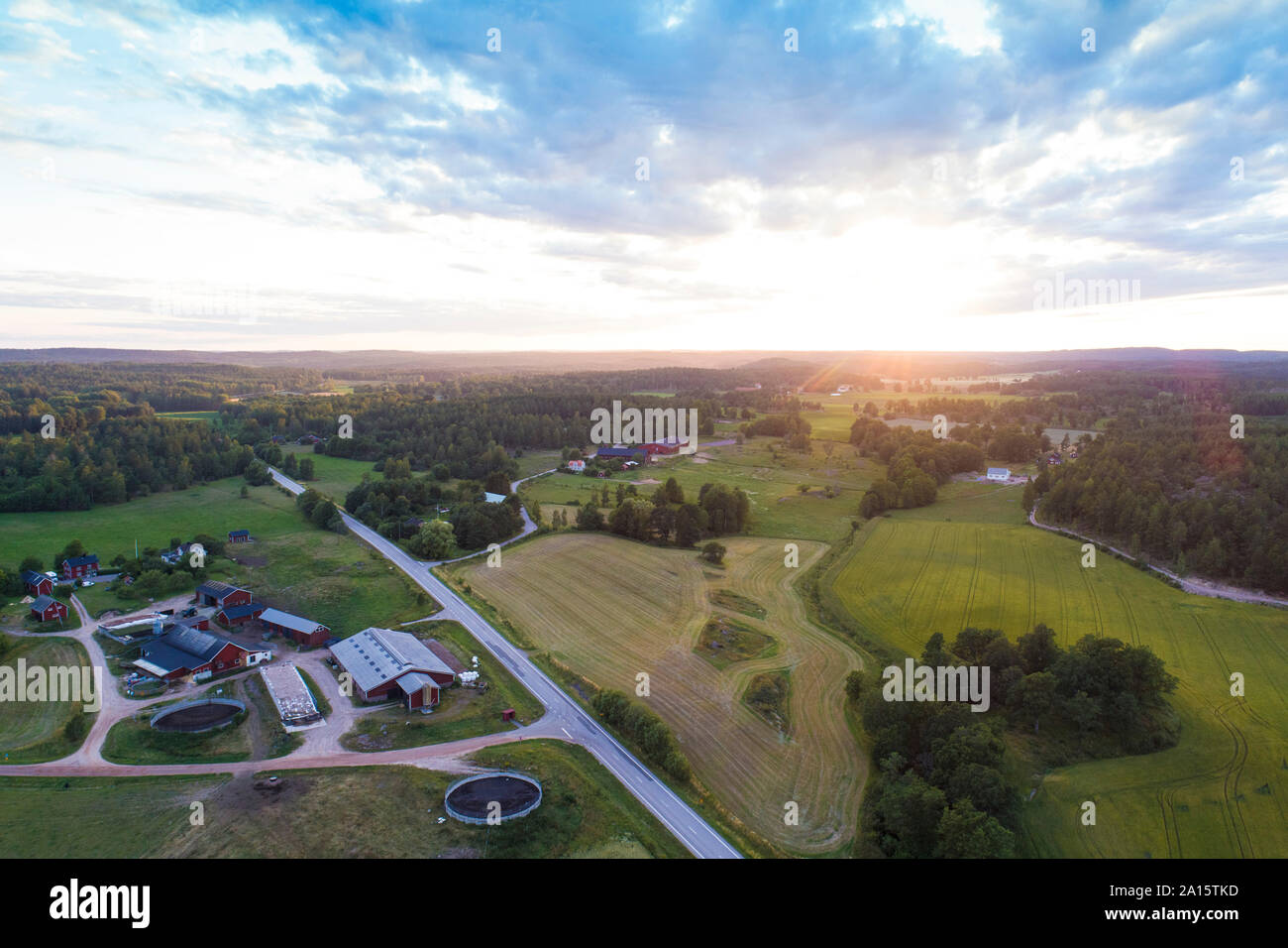 Vista aerea di campi e di strada prima del tramonto in estate, Vaestervik, Svezia Foto Stock