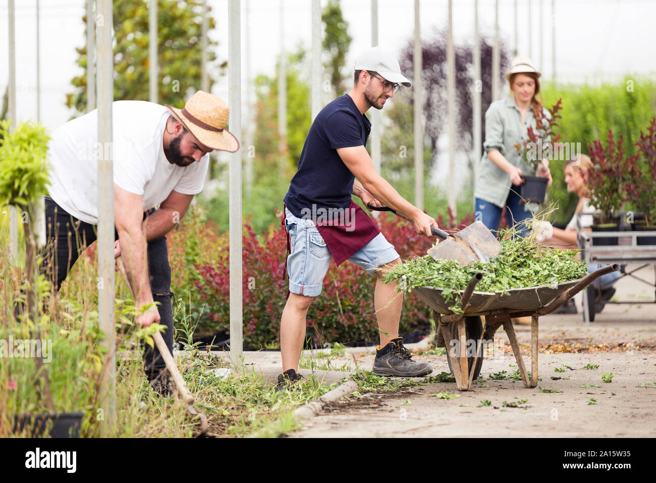 Le persone che lavorano in serra Foto Stock