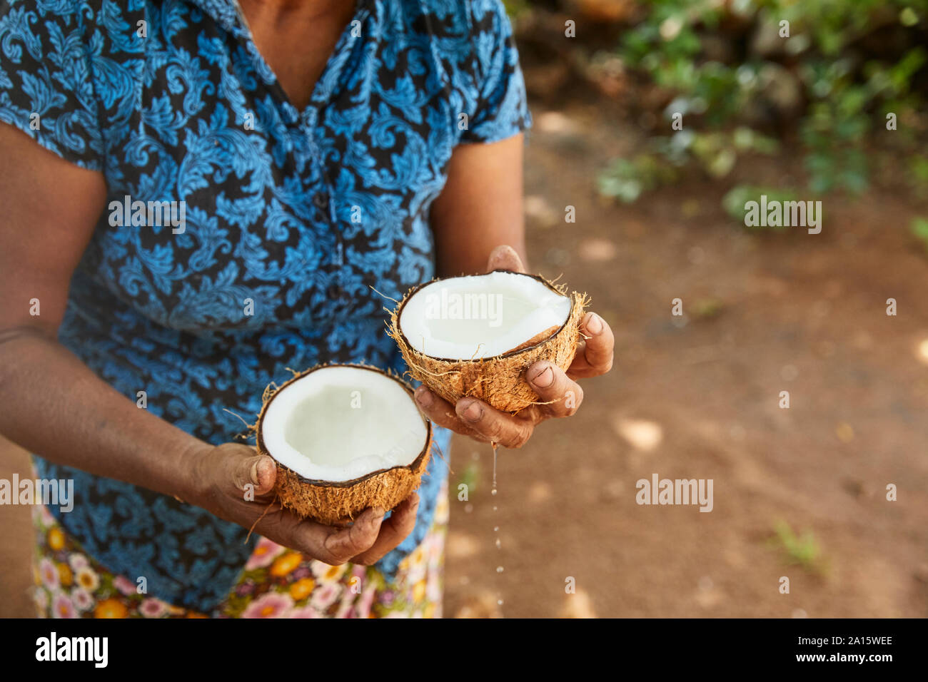 Donna che mantiene due metà di cocco fresco, Sri Lanka Foto Stock