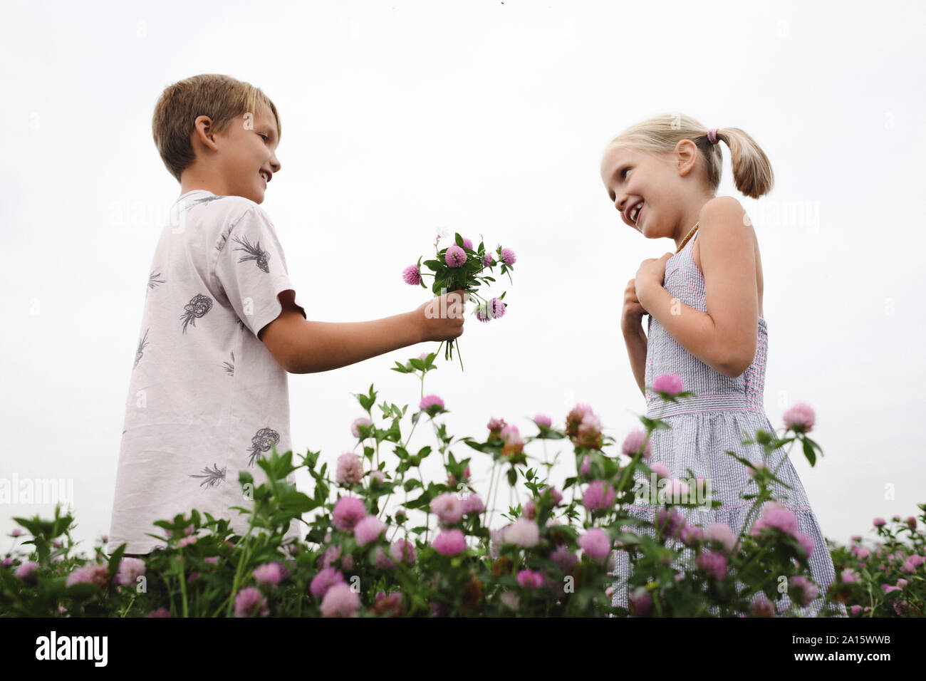 Ragazzo dando un chiodo di garofano fiori ragazza sorridente Foto Stock