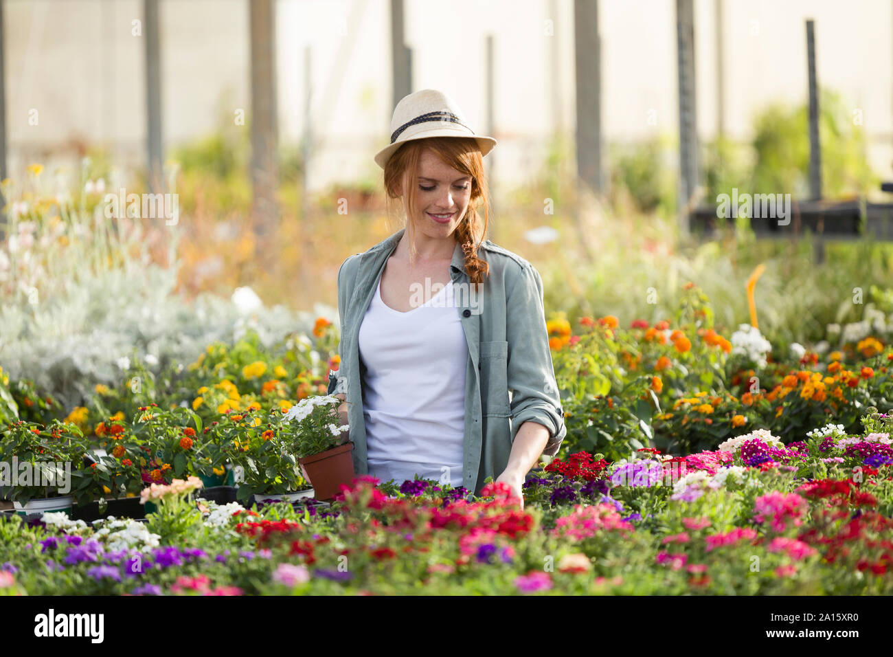Bella giovane donna avendo cura di fiori in serra Foto Stock