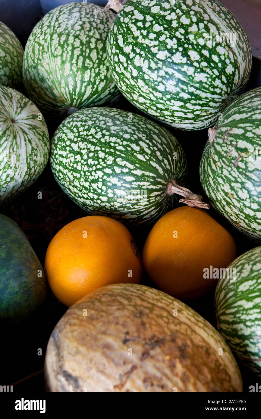 Close up di meloni e di angurie su un mercato in stallo Foto Stock