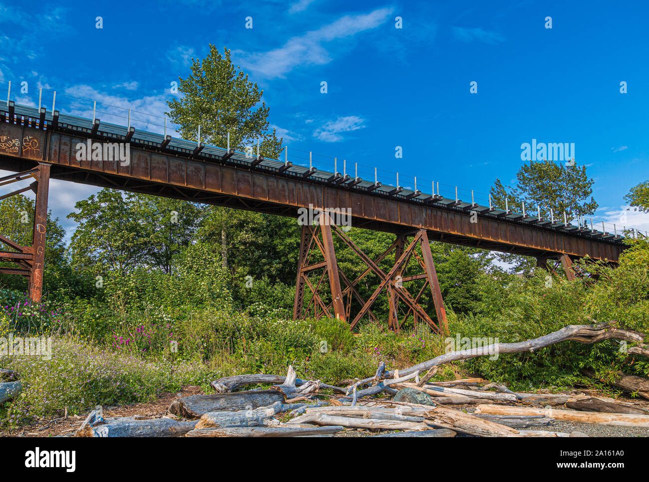 Rusty traliccio Bridge Foto Stock