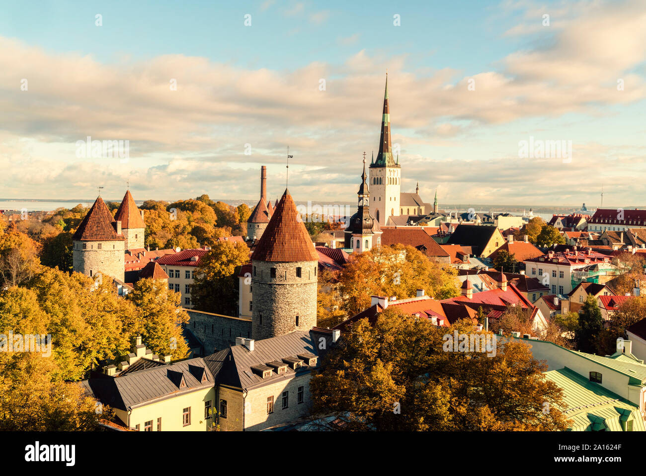 Vista della città vecchia con la Basilica di San Olaf la Chiesa e le mura della città vecchia, Tallinn, Estonia Foto Stock