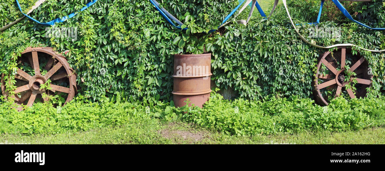 La rustica recinzione viene ricoperta con uva selvatica panorama. Rusty ruote e canna sono gettati vicino alla recinzione Foto Stock La rustica recinzione viene ricoperta con uva selvatica panorama. Rusty ruote e canna sono gettati vicino alla recinzione Foto Stock