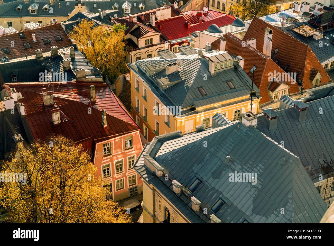 Vista delle case nella città vecchia si vede dal St Olaf il campanile di una chiesa, Tallinn, Estonia Foto Stock