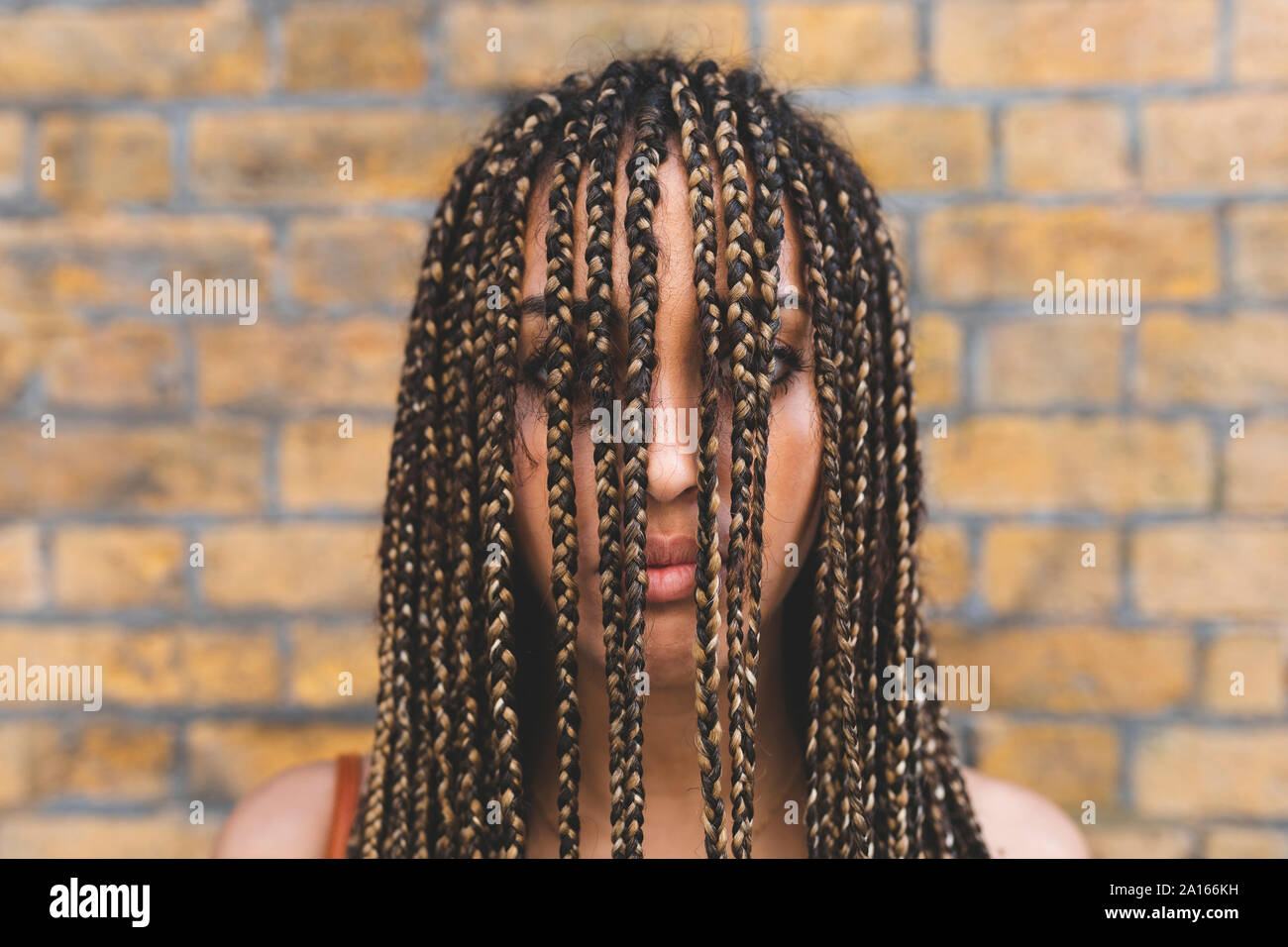 Ritratto di giovane donna con lunghe trecce che copre il volto Foto Stock