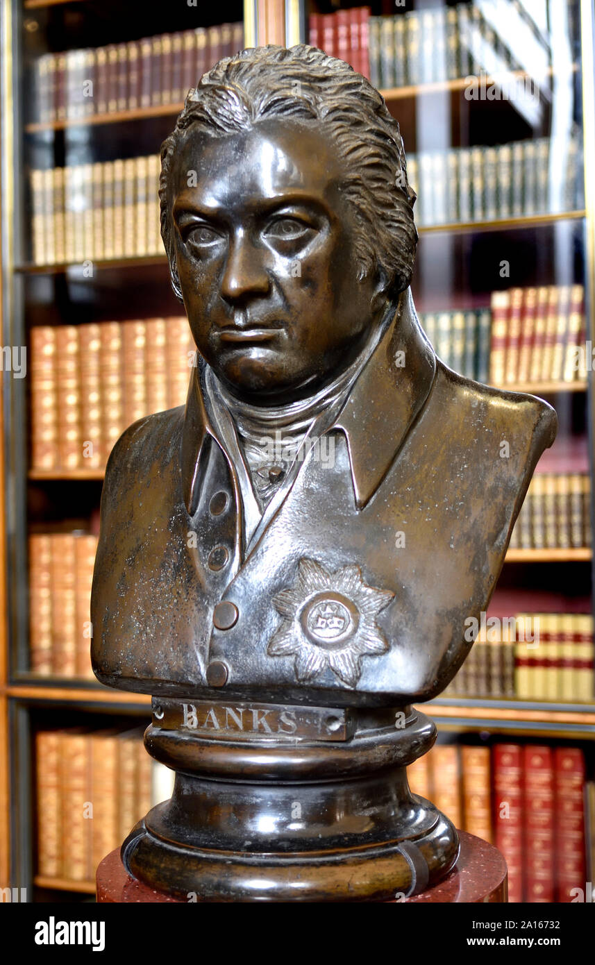 Busto di Sir Joseph Banks (1743-1820), botanico, fiduciario e benefattore del British Museum, in Grenville biblioteca, British Museum, Bloomsbury, Lon Foto Stock