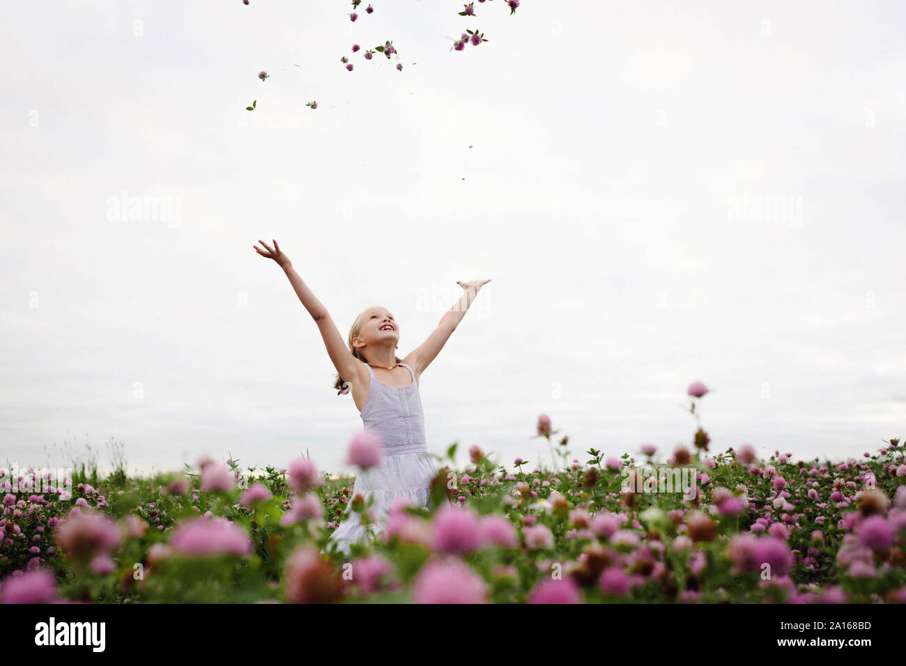 Ragazza in piedi nel campo di trifoglio, gettando fiori Foto Stock