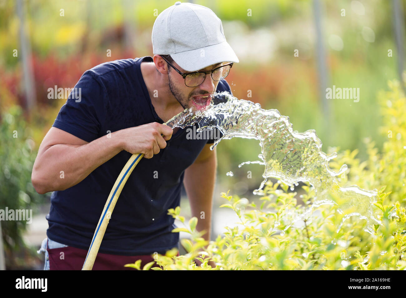 Giovane uomo di bere acqua dal tubo flessibile nel greenhous Foto Stock